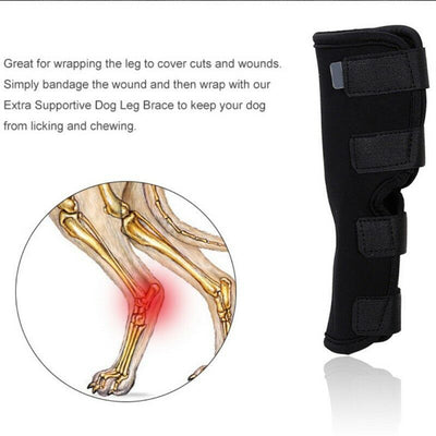 Mallas Protectoras para Perros - Prevención de Lesiones y Lamidos - Image 10
