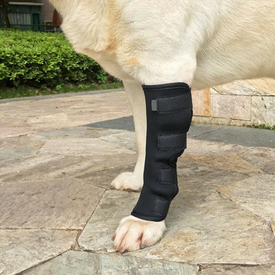 Mallas Protectoras para Perros - Prevención de Lesiones y Lamidos - Image 12