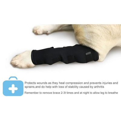 Mallas Protectoras para Perros - Prevención de Lesiones y Lamidos - Image 13
