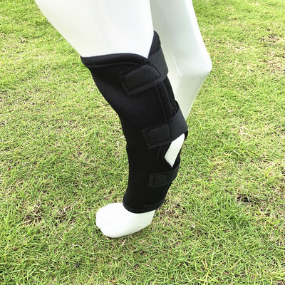 Mallas Protectoras para Perros - Prevención de Lesiones y Lamidos - Image 15