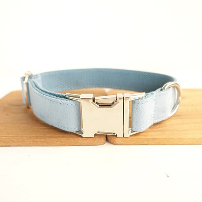 Collar Azul para Perro - Image 10