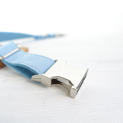 Collar Azul para Perro - Image 11