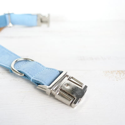 Collar Azul para Perro - Image 12