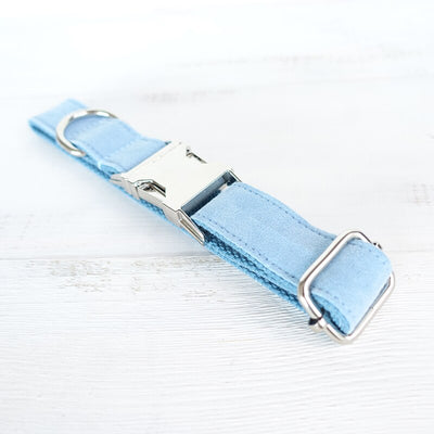 Collar Azul para Perro - Image 15