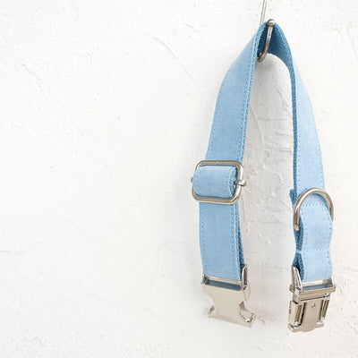 Collar Azul para Perro - Image 16