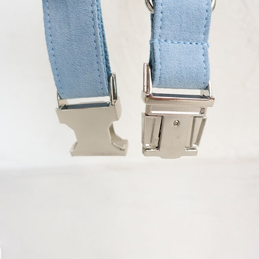Collar Azul para Perro - Image 17