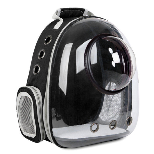 Dark grey transparent pet carrier backpack with a white cat plush toy inside, sitting on a path outdoors. - Image 19