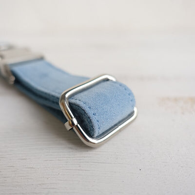 Collar Azul para Perro - Image 18