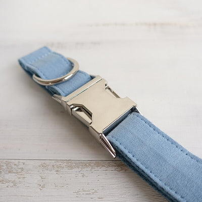 Collar Azul para Perro - Image 19