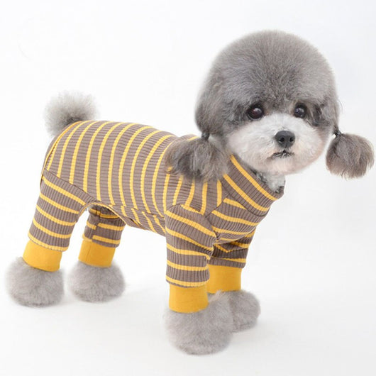 Ropa de Abrigo para Mascotas Pequeñas - Otoño e Invierno - Image 9