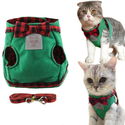 Cuerda de Tracción para Gatos - Image 6