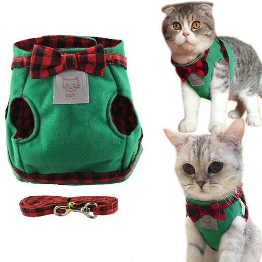 Cuerda de Tracción para Gatos - Image 6