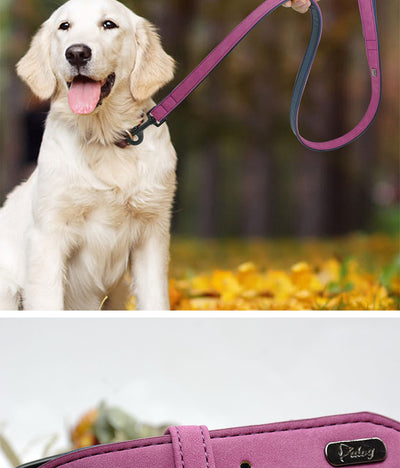 Placa de Identificación Personalizada para Mascotas - Image 28