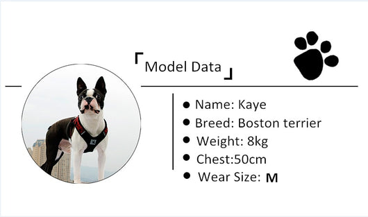 Arnés de Seguridad para Cachorros - Image 2