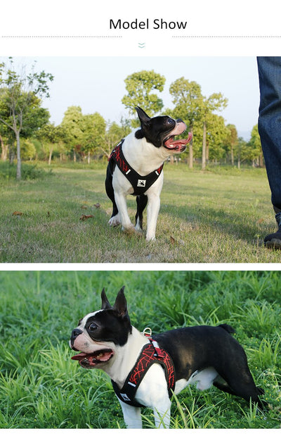 Arnés de Seguridad para Cachorros - Image 3