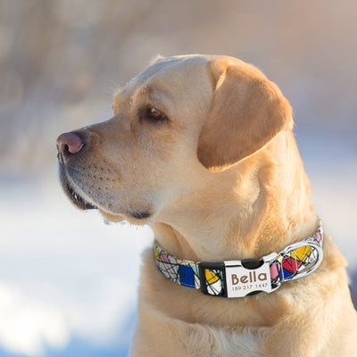 Collar Identificador para Perros Grandes con Placa Personalizable - Image 20