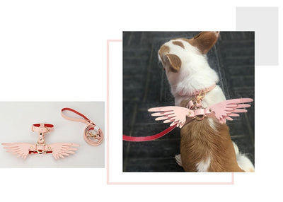 Cadena para Mascota Elegante Victoria's Secret - Image 9