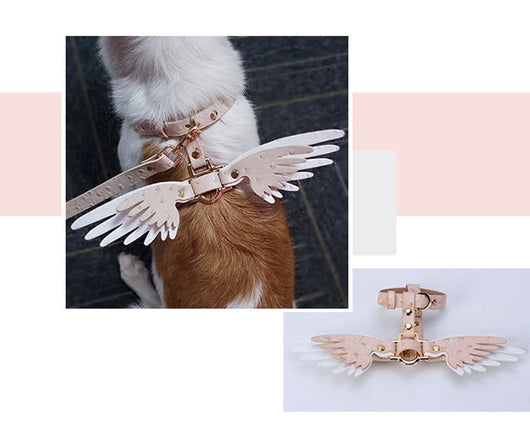 Cadena para Mascota Elegante Victoria's Secret - Image 10