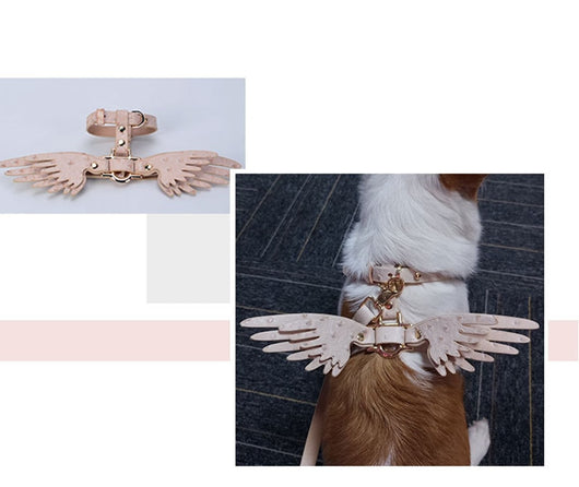Cadena para Mascota Elegante Victoria's Secret - Image 11