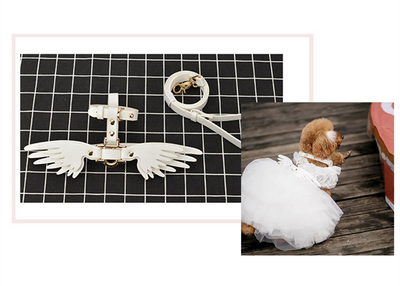 Cadena para Mascota Elegante Victoria's Secret - Image 12