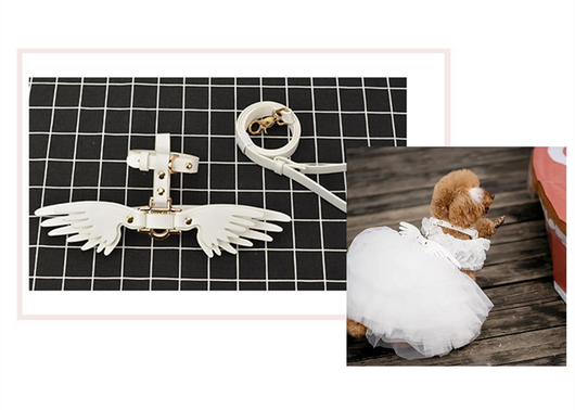 Cadena para Mascota Elegante Victoria's Secret - Image 12