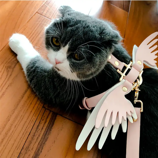 Cadena para Mascota Elegante Victoria's Secret - Image 24