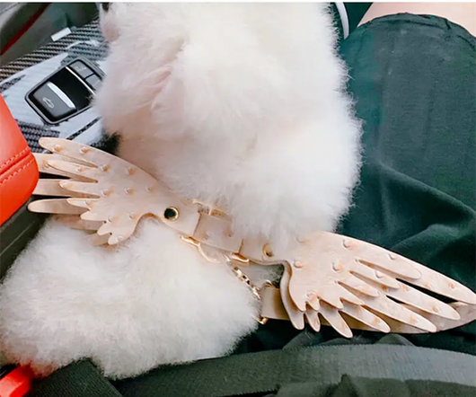 Cadena para Mascota Elegante Victoria's Secret - Image 25