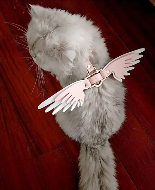 Cadena para Mascota Elegante Victoria's Secret - Image 26