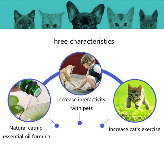 Bioline Catnip Bubbles bottle with a red label, featuring a cat silhouette and text "Safe and non-toxic. Natural Catnip oil 17.7ml". A white bubble wand is next - Image 15