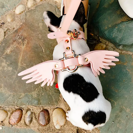 Cadena para Mascota Elegante Victoria's Secret - Image 28