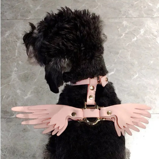 Cadena para Mascota Elegante Victoria's Secret - Image 29