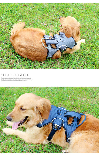 Arnés de Pecho para Perros Medianos y Grandes - Image 5
