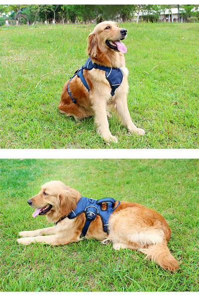 Arnés de Pecho para Perros Medianos y Grandes - Image 6