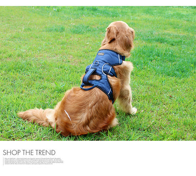 Arnés de Pecho para Perros Medianos y Grandes - Image 7