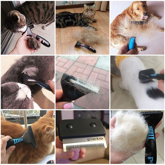 Peine Deslanador para Perros y Gatos - Removedor de Pelo Muerto - Image 6