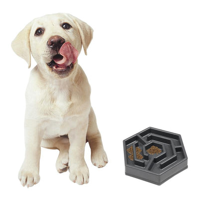 Comedero Lento Antiahogo para Perros - Image 20