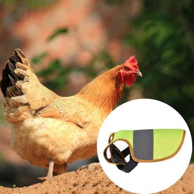 Chaleco Reflectante de Seguridad para Pollos y Gallinas - Image 13