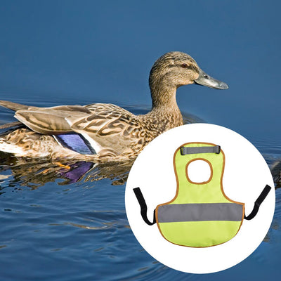 Chaleco Reflectante de Seguridad para Pollos y Gallinas - Image 15
