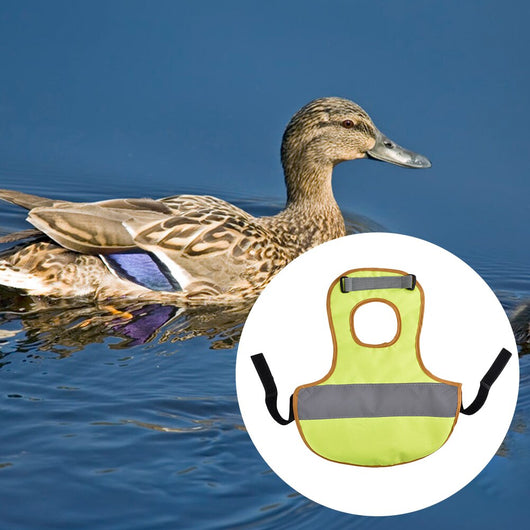 Chaleco Reflectante de Seguridad para Pollos y Gallinas - Image 15