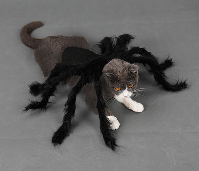 Disfraz de Araña Terrorífica para Mascotas - Traje Interactivo para Perros y Gatos - Image 6
