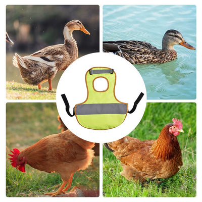 Chaleco Reflectante de Seguridad para Pollos y Gallinas - Image 16