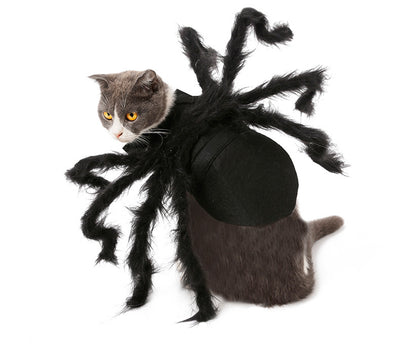 Disfraz de Araña Terrorífica para Mascotas - Traje Interactivo para Perros y Gatos - Image 8