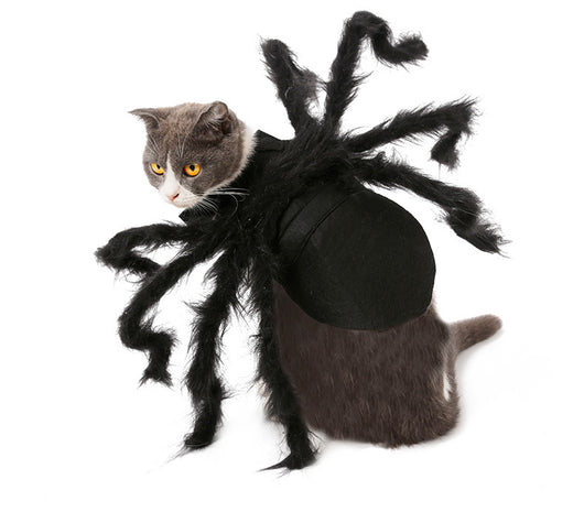 Disfraz de Araña Terrorífica para Mascotas - Traje Interactivo para Perros y Gatos - Image 8