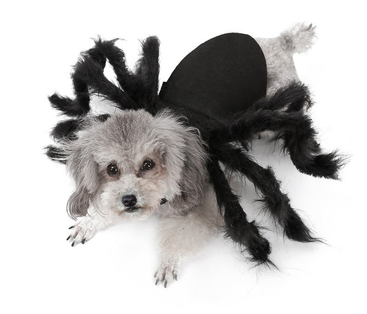 Disfraz de Araña Terrorífica para Mascotas - Traje Interactivo para Perros y Gatos - Image 9