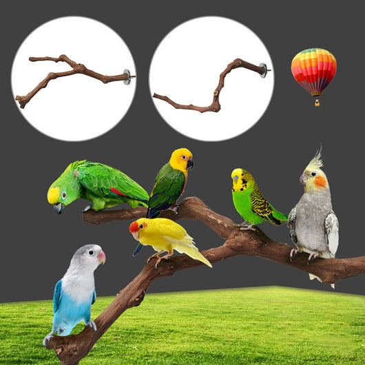 Natural wild grape wood bird perch with a branch, securely mounted inside a white wire bird cage. - Image 6