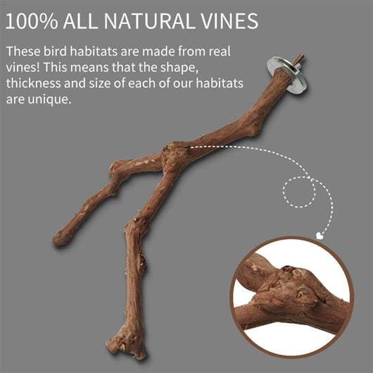 Natural wild grape wood bird perch with a branch, securely mounted inside a white wire bird cage. - Image 12
