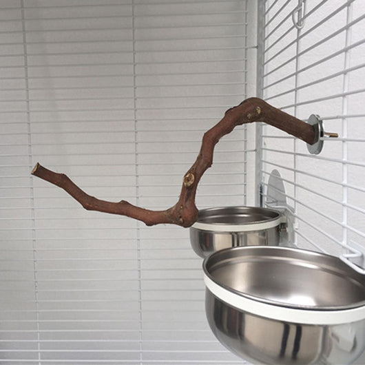 Natural wild grape wood bird perch with a branch, securely mounted inside a white wire bird cage. - Image 13
