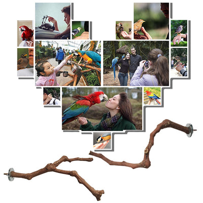 Natural wild grape wood bird perch with a branch, securely mounted inside a white wire bird cage. - Image 14