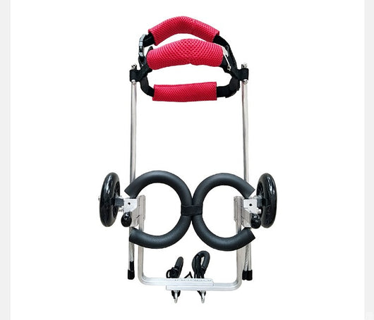 Silla de Ruedas para Perros - Completamente Ajustable - Image 11
