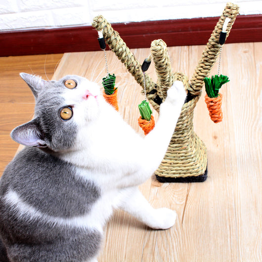 Juguete Rascador Vertical para Gatitos con Placa de Garras y Molares - Image 10